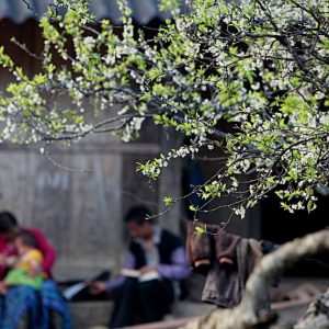 Sapa Deep Trek Expedition: 3-Day Valley & Authentic Homestay