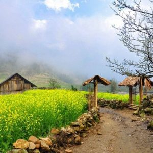 Sapa Immersive Panorama: 3-Day Trekking & Homestay Adventure