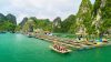 Cua Van Floating Village