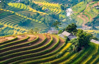 Hoang Su Phi Rice Terraces