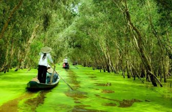 Tra Su Cajuput Forest (An Giang)