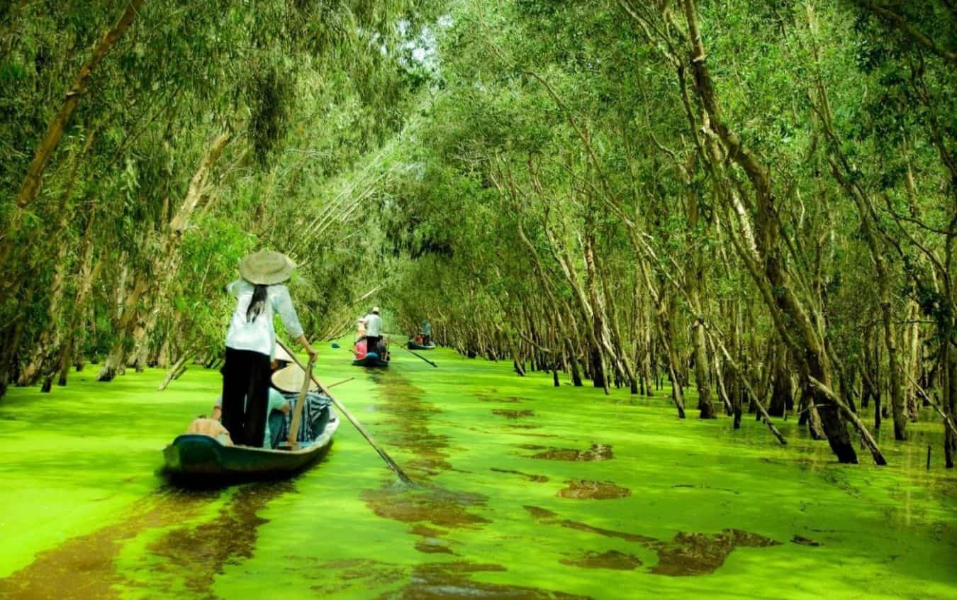 Mekong Delta