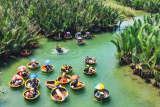 Coconut Forest (Cam Thanh)