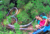 Datanla Waterfall (Alpine Coaster)