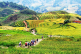 Lao Chai & Ta Van Villages