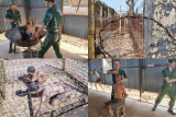 Phu Quoc Prison (Coconut Tree Prison)
