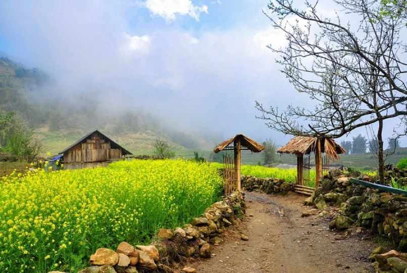 Sapa Immersive Panorama: 3-Day Trekking & Homestay Adventure